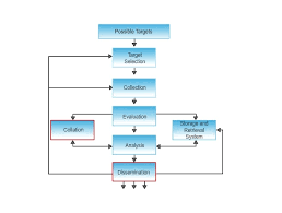 Criminal Intelligence Diagram Quizlet