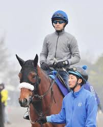 Maybe you would like to learn more about one of these? åæ‰‹ãƒ«ãƒ¡ãƒ¼ãƒ«ã®æœ‰é¦¬è¨˜å¿µæˆç¸¾ã¯ ãƒãƒ¼ãƒ„ã‚¯ãƒ©ã‚¤ã§ãƒ‡ã‚£ãƒ¼ãƒ—ã‚¤ãƒ³ãƒ'ã‚¯ãƒˆæ'ƒç ´ã‹ã‚‰è¨ˆ12å›žé¨Žä¹— ä¸­æ—¥ã‚¹ãƒãƒ¼ãƒ„ æ±äº¬ä¸­æ—¥ã‚¹ãƒãƒ¼ãƒ„