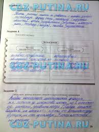 гдз по английскому языку 6 класс биболетова рабочая тетрадь Gdz Po Rabochej Tetradi Po Anglijskomu Yazyku 6 Klass Kuzovlev Trictusend 5 Klass Klass I Prirodovedenie