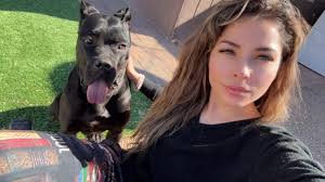 We went in the caravan a week ago we took Lucifer our cane corso he turned  1 years old this month with our old stuffy kilo 12