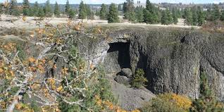 The trail crosses the creek over a log footbridge, merges with road 020 about 100 yards further on, and returns you to the green gate and parking area. Catherine Creek Arch Loop Columbia Gorge Hike Friends Of The Columbia Gorge