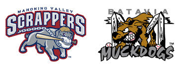 Minor league baseball team logos. Minor League Baseball Dog Logos