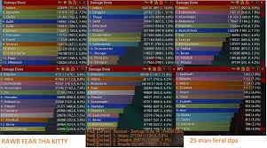 A Test On Tbc Melee Dps Classes Wowservers