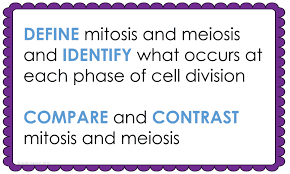 Why is meiosis i called reduction divisions and meiosis ii as equational division? Mitosis And Meiosis Lesson Plan A Complete Science Lesson Using The 5e Method Of Instruction Kesler Science