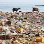 Plastic pollution from www.britannica.com