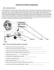 Our main purpose is that these mrna trna worksheet answers pictures gallery can be a guidance for you, deliver you more samples and of course bring you what you need.a. Name Part D Circle The Correct Choice Within The Parenthesis For 1 18 1 Dnarna Course Hero
