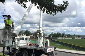 Armstrong Tree Services