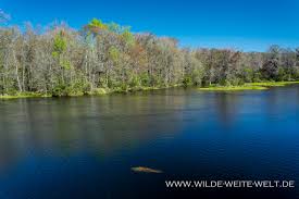 If you are not staying at the lodge, as soon as you get there, buy a ticket for the river tour. Suwanee River Springs Florida Manatee Fanning Ichetucknee Troy Peacock Lafayette Wakulla Ponce De Leon Www Wilde Weite Welt De