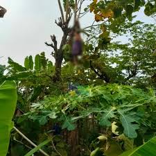 Akibat adanya gangguan sistem, tetapi bukan di jember, ujar manajer area pln jember dan lumajang adrian egusfi saat dikonfirmasi melalui telepon selulernya, rabu. Uhexsksdeokxsm
