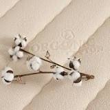 Cotton Sheets: What is 100% Cotton and Is It the Best Choice ...
