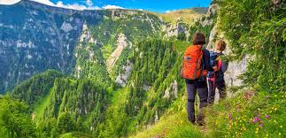 Smythe, during his return from kamet with other mountaineers. Home India Uttarakhand 6 Days 5 Nights Trek To Valley Of Flowers Uttarakhand 2021