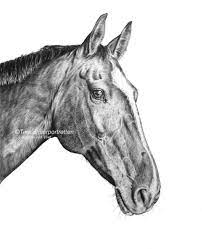 I want to start the day by submitting a lesson that i think will be beneficial to a lot of artists that want to improve. Realistic Horse Drawing With Graphite Drawing