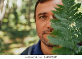 Felce Fondo Bianco: Over 3,888 Royalty-Free Licensable Stock Photos