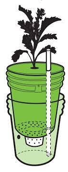 Build A Self Watering Container Self Watering Containers Self Watering Self Watering Planters