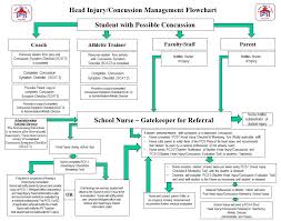 Image result for Concussion Symptom Checklist