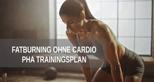 Grundidee des trainingsplans für zuhause. Trainingsplane Fur Frauen Krafttraining Fettabbau