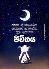 40 Sinhala Quotes Ideas In 2021 Quotes Love Quotes Life Quotes 14 life is beautiful quotes and beautiful sayings about life. 40 sinhala quotes ideas in 2021