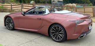 Image result for Copper Crest 2023 LC