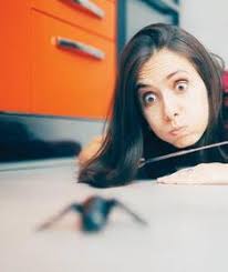 Branson Globe, April 26, 2024 by bransonglobe