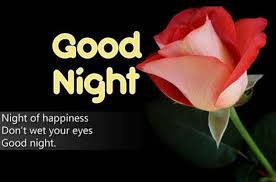 Good Night Images Free Download Good Night Wallpaper Good Night Image Good Night Wishes