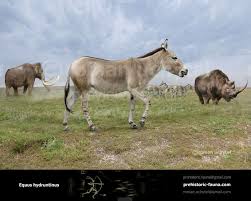 Pin On Prehistoric Fauna