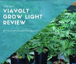 Just set my grow light up a couple of weeks ago trying it out for the first time. Viavolt Grow Light Review Best Led Grow Lights Info
