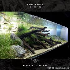 13328424645hbd Jpg 700 700 Aquarium Fish Tank Aquarium Fish Aquascape Aquarium