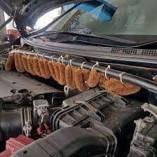Cara bunuh tikus dalam kereta. Bagaimana Nak Halau Tikus Ramli Petua Petua Orang Lama Facebook