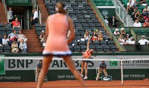 Image result for tennis fans in stands