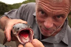 Monsters of the deep: British filmmaker wrestles