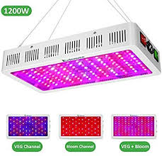 Which begins fueling the vegetative growth stage. Amazon Com Exlenvce 1500w 1200w Led Grow Light Full Spectrum For Indoor Plants Veg And Flower Led Indoor Plant Lights Grow Lights For Plants Led Grow Lights