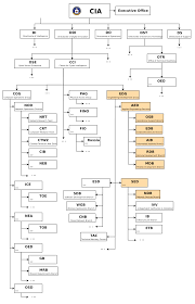 Cia Org Chart Learn To Read Cartography Diagram