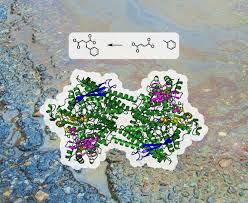 Soak up the excess oil with paper towels or old dish towels (that you make sure to wash separately) using a dabbing motion. Using Microbes To Clean Up Oil Spills Mit News Massachusetts Institute Of Technology