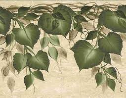 Ivy Vine Wallpaper Border 63995 Wallpaper Border Wallpaper Wallpaper Border Kitchen