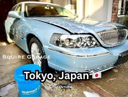 Image result for Light Ice Blue 2005 Town Car