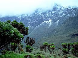 The rwenzori mountains were gazetted as a national park in 1991, recognised as a world heritage site in 1994 and a ramsar site in 2008. Rwenzori Mountains National Park Pamoja Tours And Travel