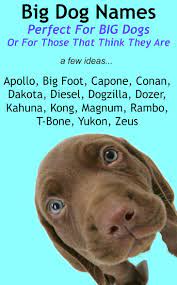 Big Dog Names Perfect For A Large Breed Female Or Male Big Dog Names Dog Names Dog Names Unique