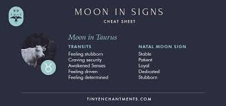 As kids, these people often struggle with fitting in and they find the world overwhelming. The Moon And Zodiac Signs Natal Moon Sign Meanings And Moon Transits Moon Sign Meaning Zodiac Signs Zodiac Moon Sign