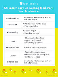 Baby Led Weaning A Complete Guide To First Foods Huckleberry