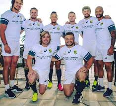 Pin By Corlia De Beer On Suid Afrika South Africa Sport Lions Rugby Rugby Players Rugby