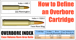 Barrel Life Daily Bulletin