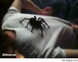 Nope Nope Nope Nope Nope Meme Guy
