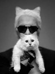 In Honor Of International Cat Day Fashion S Best Cat Itorials Karl Lagerfeld Kedi Unluler
