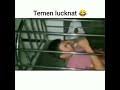 Sekarang anda juga dapat mengunduh video story wa 30 detik mp4. Download Story Wa 30 Detik Mp3 Video Mp4 3gp