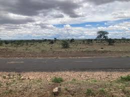 Road impact