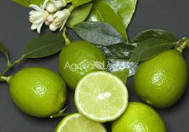 Image result for Citrus × aurantiifolia