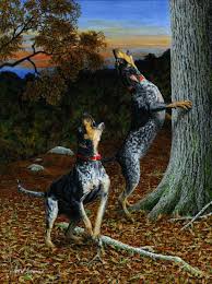American Foxhound Black And Tan Virginia Foxhound Pin On Hunting Dog Hq
