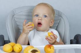 Ähnlich verhält es sich mit dem thema zucker und auch salz: Ab Wann Durfen Babys Aprikosen Essen Babyled Weaning