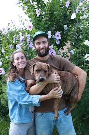 Maybe you would like to learn more about one of these? June Farm Intervale Center