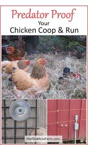 We invented the snake proof our animal containment systems keep your pets from digging out and prevents unwelcome intruders from digging in. Predator Proofing Your Chicken Coop And Run